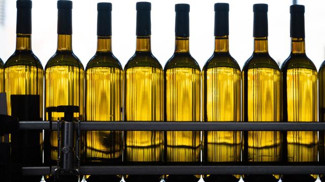 Rebflächen-Statistik: Sachsen-Anhalts Winzer mit Fokus auf Weißwein-Anbau