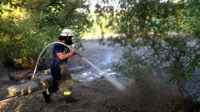Einsatz: Waldbrand direkt neben Volkshochschule in Lingen