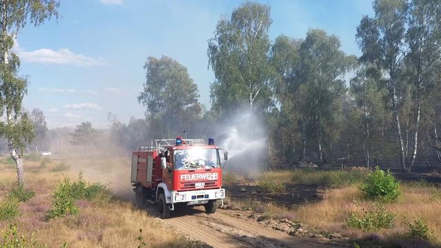 Waldbrände: Waldbrandgefahr steigt in Brandenburg wieder an