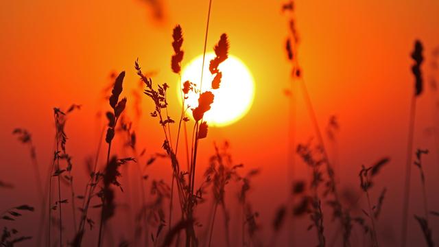 Wetter: Bis zu 36 Grad und Unwetter: Wetterdienst warnt vor Hitze