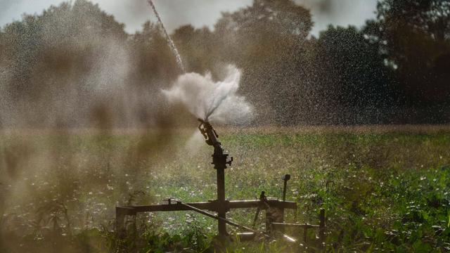 Wetter: DWD: Dienstag und Mittwoch noch heiß, dann unter 30 Grad