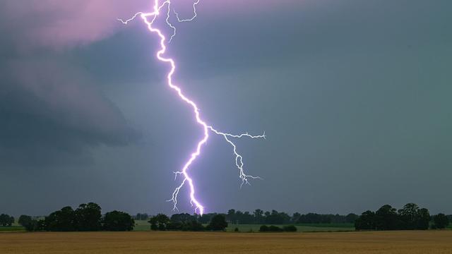 Wetter: Gewitter in Mittelhessen: Bäume stürzen um, keine Verletzten