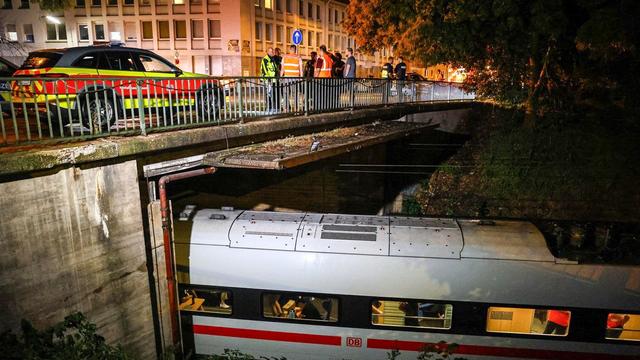 Unwetter: Umgestürzte Bäume sorgen für Streckensperrungen