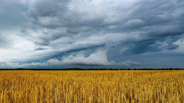 Wettervorhersage: Unwetter und Wärmebelastung - wo es besonders heiß wird