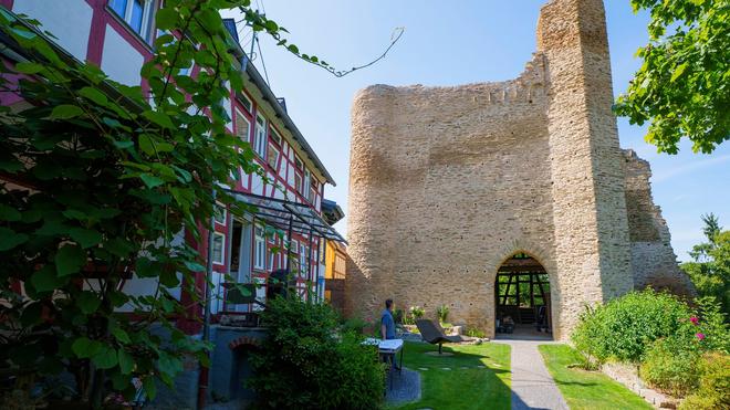 Denkmalschutz: In der beeindruckenden Schildmauer brüten Mauersegler und Falken.