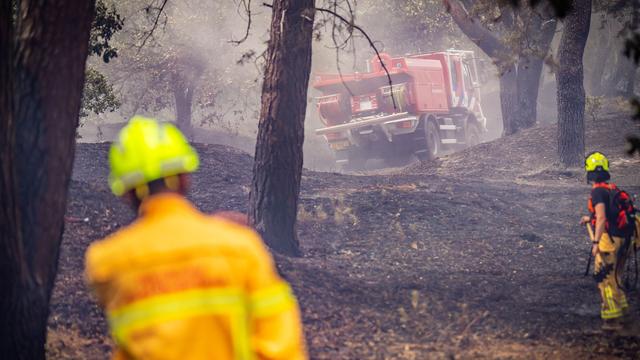 Waldbrände: Behörden: Feuer in niederländischem Naturgebiet stabil