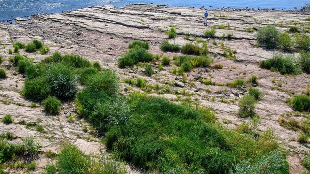 Ökosystem Fluss: «Niedrigwasserstress» - Nabu fordert Deichrückverlegungen