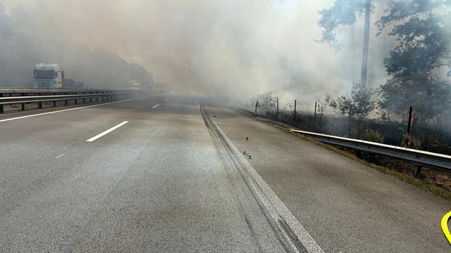 Trockenheit: Waldbrand an der A61 gelöscht – Autobahn wieder frei