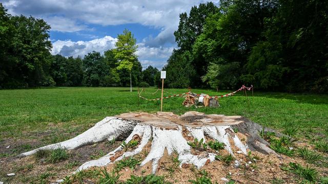Ehrenamt soll helfen: Klimawandel stresst Parks: Kleine Kommunen suchen Lösungen