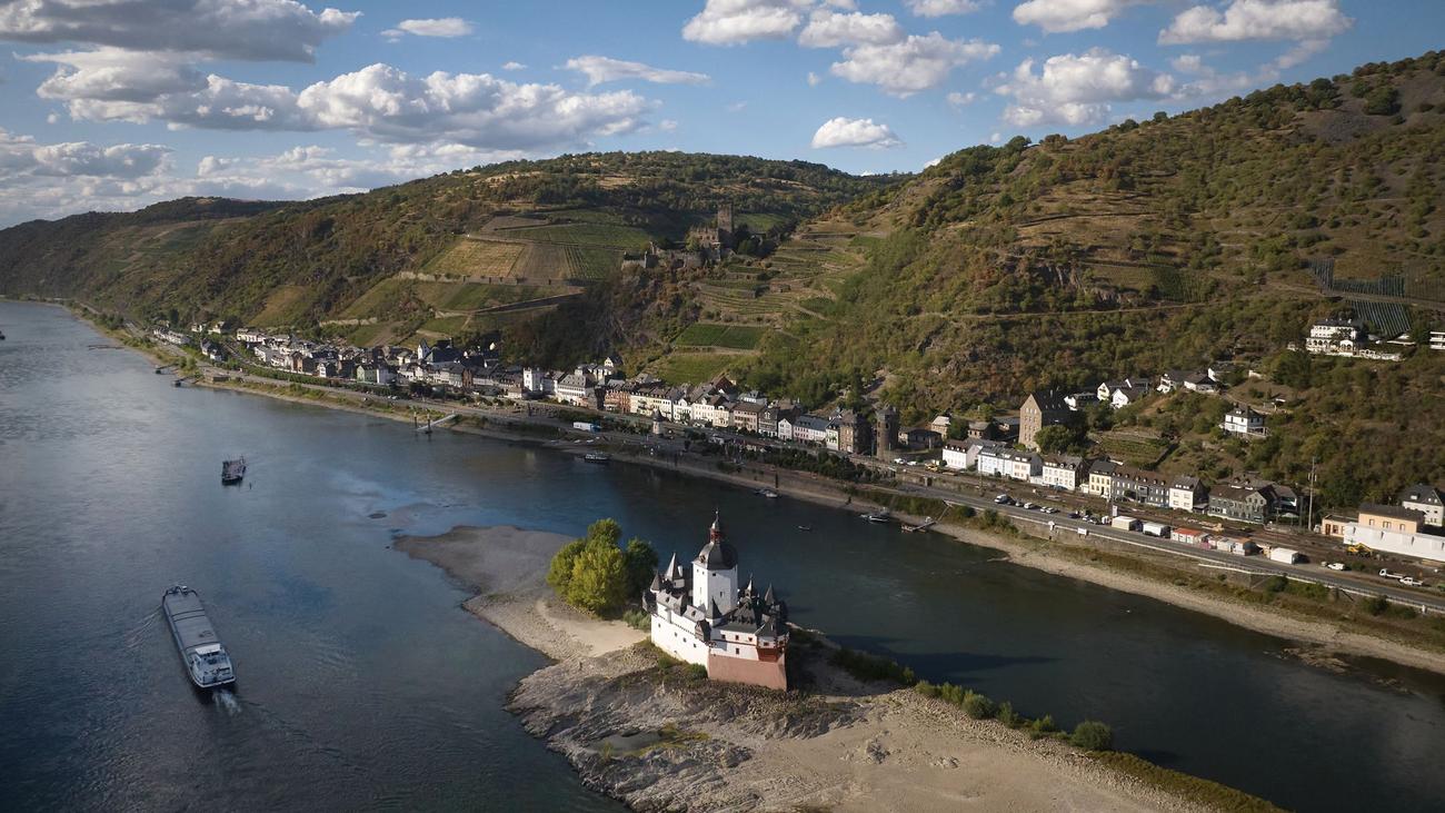 Folgen für die Wirtschaft: Niedrigwasser am Rhein: IW-Ökonom hält Lage für «dramatisch»