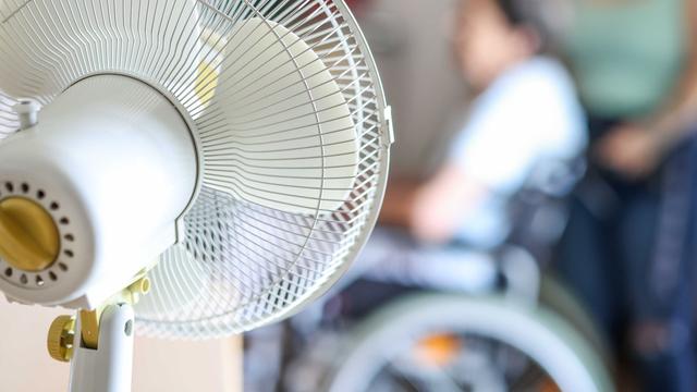 Folgen der Hitze: RKI: Bislang 1.500 Hitzetote in Rheinland-Pfalz
