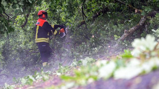 Kurze Sperrungen: Unwetter: Bäume stürzen auf Autobahnen in Bayern