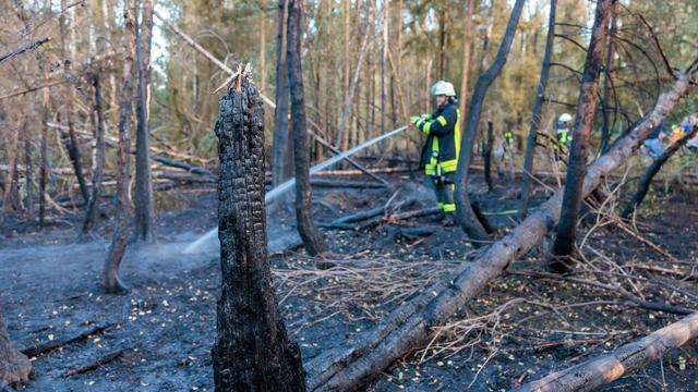 Brände: Waldbrand bei Bad Schwalbach: Einsatz dauert an