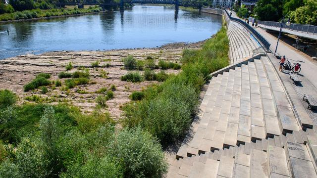 Niedrigwasser: Wasserstand der Elbe in Magdeburg nur noch 44 Zentimeter
