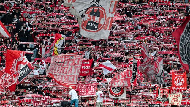 Fußball-Bundesliga: Köln verpflichtet U17-Europameister Neves