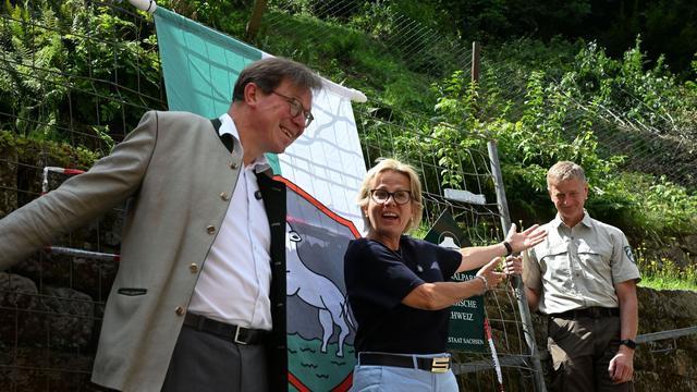 Folgen des Unwetters: Nach Unwetter in Rathen: Basteiweg wieder geöffnet
