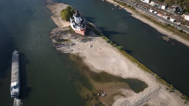 Wirtschaft spürt Folgen: Niedrigwasser am Rhein treibt Transportkosten in die Höhe