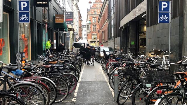 Radfahren in Dänemark: Sommerchaos auf Radwegen: Kopenhagener genervt von Touristen