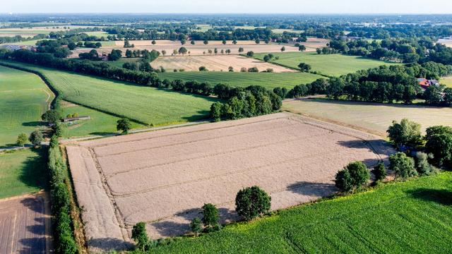 Wetter am Wochenende: Wärme kehrt zurück in den Nordwesten - Hitze am Sonntag