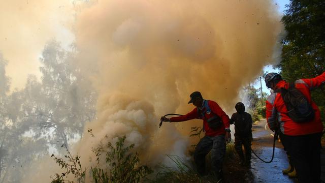 Indonesien: Waldbrand am Vulkan Bromo: Sperrungen für Touristen