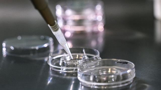 Künstliche Befruchtung: Frau bekommt in Italien falschen Embryo eingesetzt