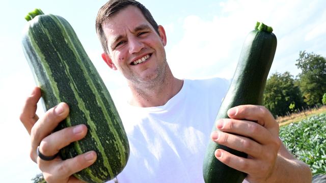 Soziale Aktion: Hobbygärtner will fünf Tonnen Zucchini spenden
