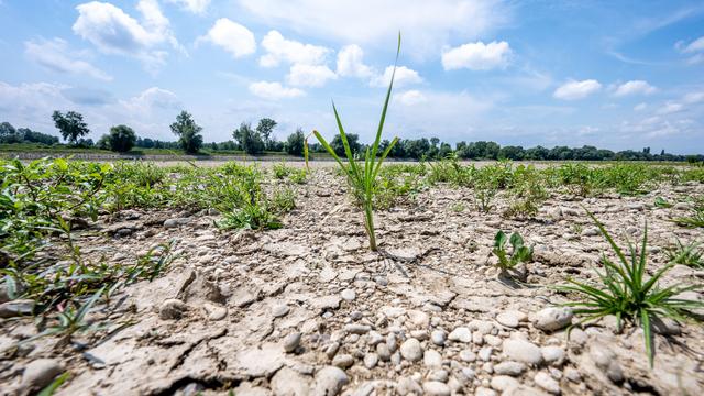Seestände auf Allzeitminima: Niedrigwasser in Brandenburgs Gewässern weiter akut