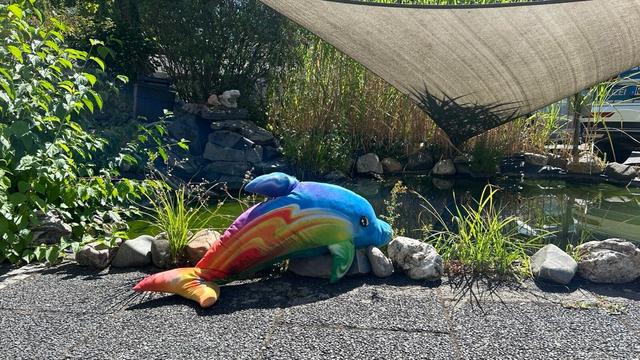 Besitzer gesucht: Polizei rettet gestrandetes Delfin-Plüschtier von Landstraße