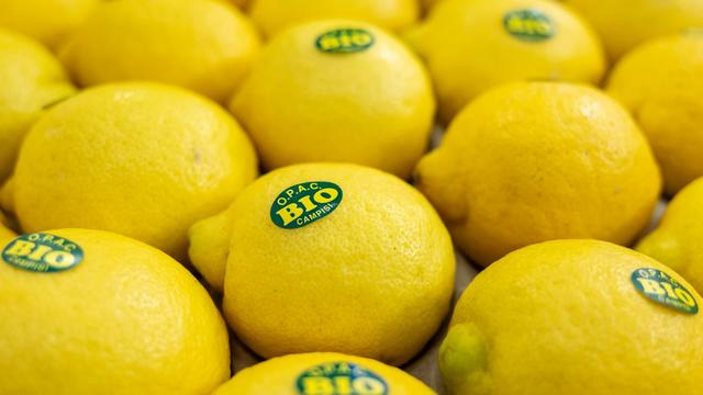 Celebrated Trend Drink: Why Soda Lemon Might Be This Summer's Beverage