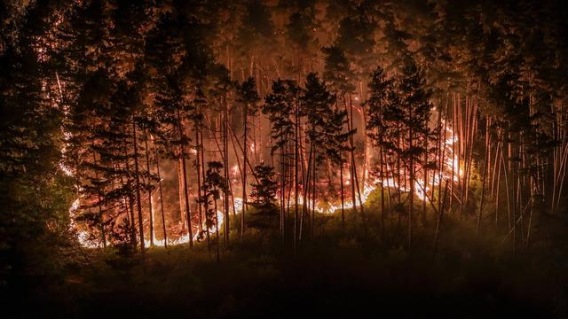Feuer in Urlaubsgebiet: Feueralarm am Gardasee: 250 Menschen evakuiert