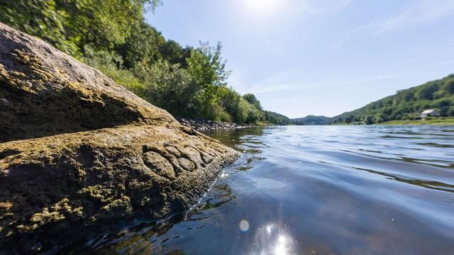 Elbe River's low water levels reveal 'hunger stone' amid drought