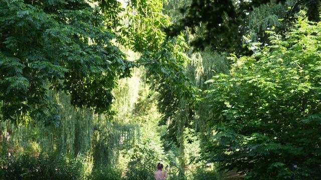 Wetter: Sommerwetter im Norden – Temperaturen bis 31 Grad erwartet