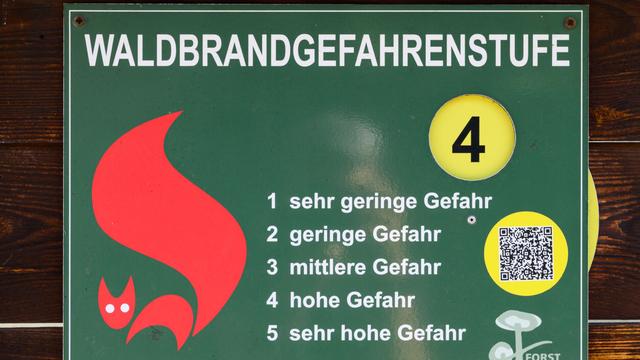 Trockenheit: Waldbrandgefahr in Brandenburg steigt