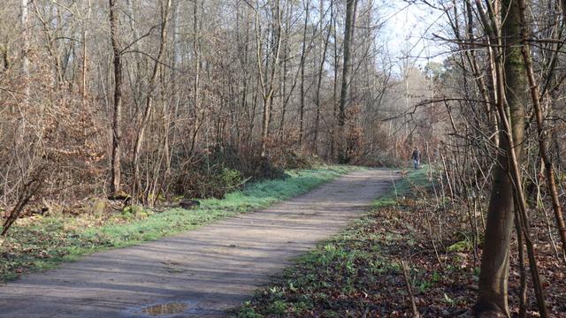 Jugendkammer: 17-Jähriger wegen mutmaßlichen Mords an Freundin angeklagt