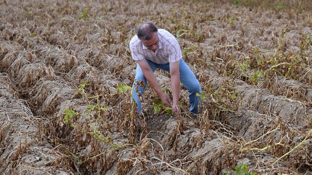 Forderungen an Politik: Bauern fordern mehr und schnellere Hilfen im Klimawandel