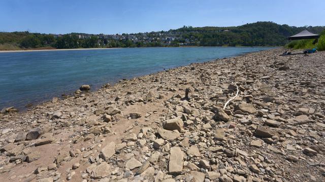 Kampfmittelräumdienst: Bazooka-Rakete und Granate im Rhein: Sprengung geplant