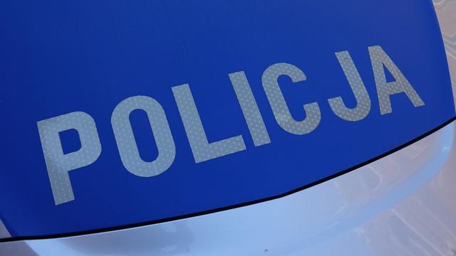 Aufregung im Nachbarland: Behörden in Polen warnen vor freilaufender Raubkatze