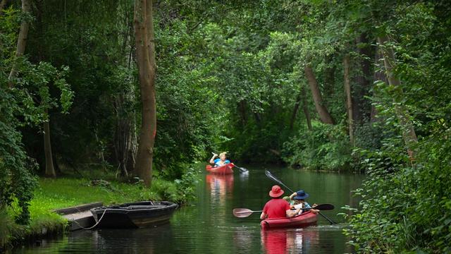 Bootstouren: Bootsverleiher im Oberspreewald: Können Fließe befahren