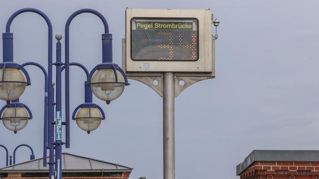 Niedrigwasser: Elbe in Magdeburg: Wasserstand fällt auf 39 Zentimeter