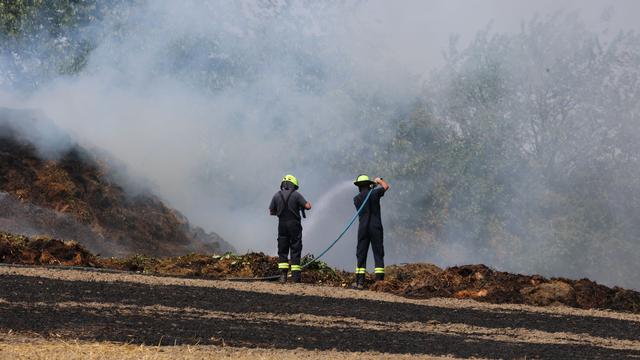 Feuer: Feldbrand im Landkreis Greiz - Zwei Verletzte