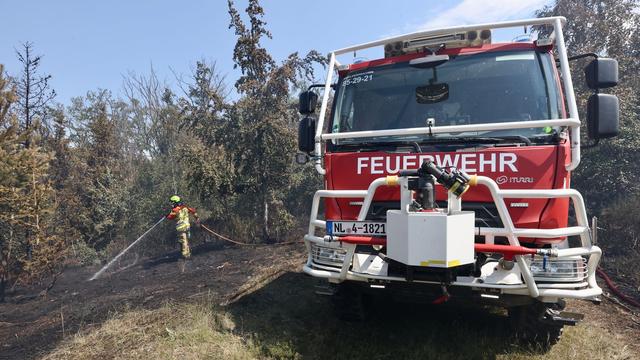 Trockenheit: Hohe Waldbrandgefahr nach mehreren Bränden im Land