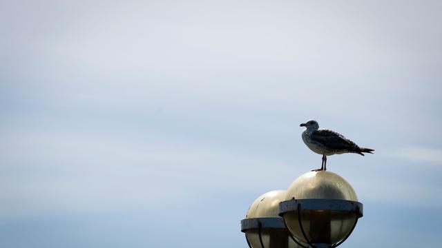 Wetter: Unbeständiger Wochenstart – ab Dienstag wird es sonniger