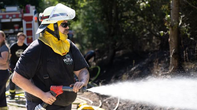 Mehrere Einsätze: Feuerwehr kämpft bei Hitze und Wind gegen Waldbrände