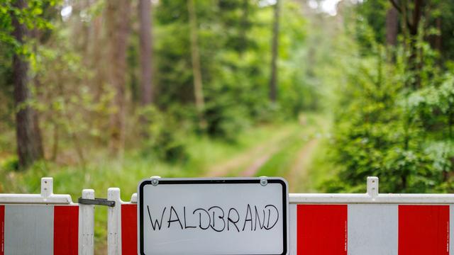 Waldbrand: Wald brennt nahe der A93 - 500 Meter von Ortschaft entfernt