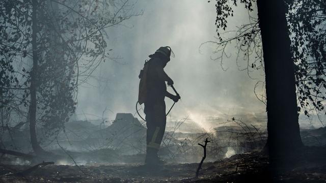 Brände: Waldbrand in Hessen erreicht Grenzbereich Bayerns