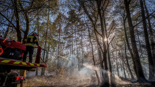 Wasserreserven zum Löschen: Waldbrand: Bürger sollen möglichst nicht duschen oder baden