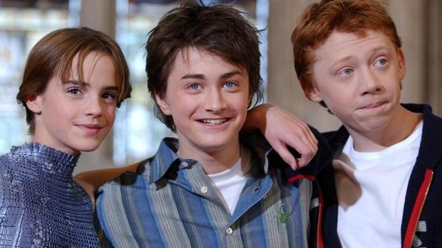 Beliebte Filmreihe: Wegen Dobby: Harry-Potter-Fans werfen Stromprojekt-Pläne um