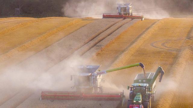 Ernte: Bauern mit Gerstenernte zufrieden - Schädlinge im Raps