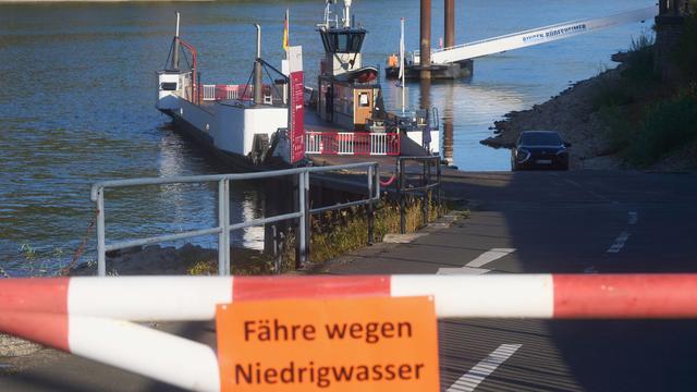 Fotografie: Bilder des Tages