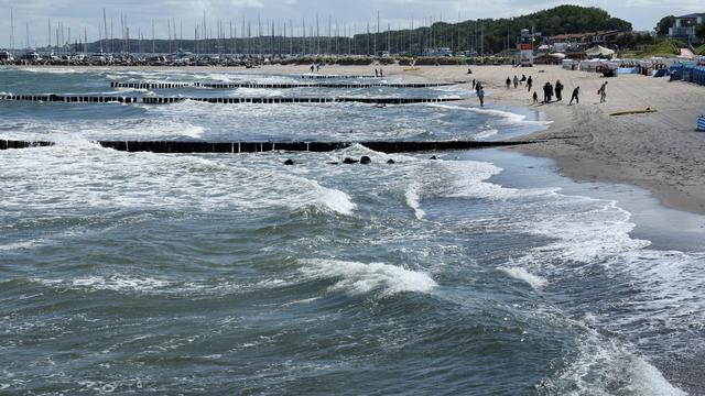 Sommerferien: Blaualgen in Ostsee nachgewiesen - Stadt Rostock gibt Tipps